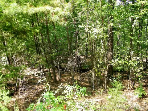 901 Sycamore Loop, Broken Bow, OK 74728 photo 85