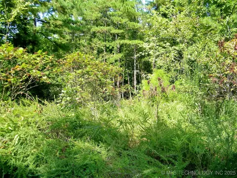 901 Sycamore Loop, Broken Bow, OK 74728 photo 70
