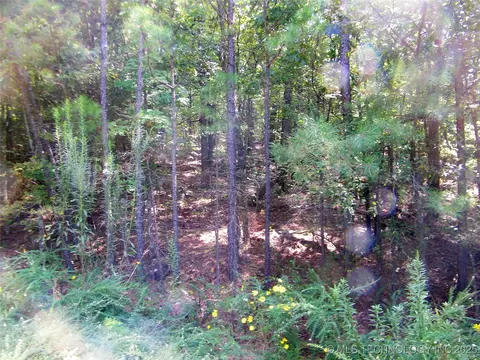 901 Sycamore Loop, Broken Bow, OK 74728 photo 67