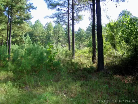 901 Sycamore Loop, Broken Bow, OK 74728 photo 55