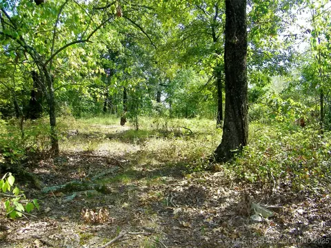 901 Sycamore Loop, Broken Bow, OK 74728 photo 50