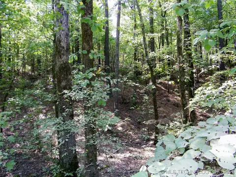 901 Sycamore Loop, Broken Bow, OK 74728 photo 64
