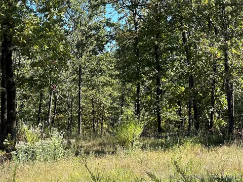 W Shady Lane, Fort Gibson, OK 74434 photo 9