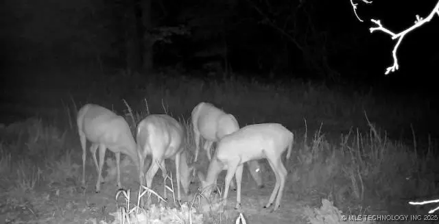  County Road 2561, Pawhuska, OK 74056 photo 40