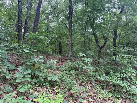 E 610 Road, Locust Grove, OK 74352