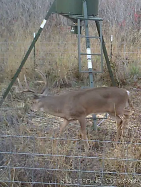 Mountain View, Davis, OK 73030 photo 20