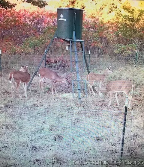 Mountain View, Davis, OK 73030 photo 16