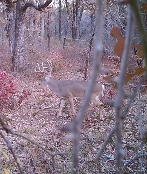 Mountain View, Davis, OK 73030 photo 18
