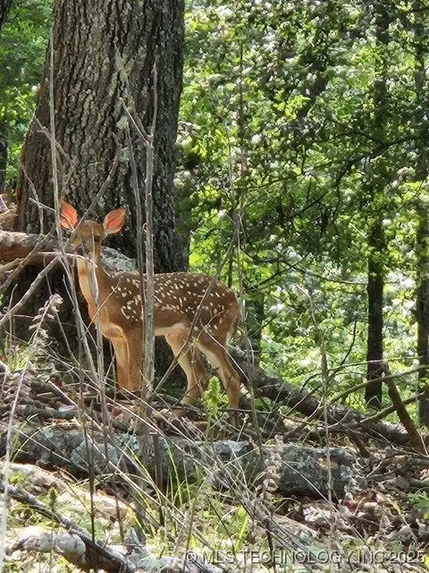 35880 540 Trl S, Jay, OK 74346 photo 2