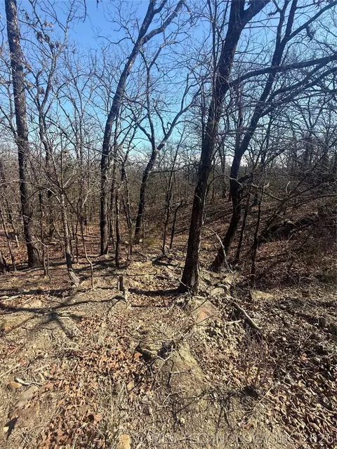 Fig Road, Henryetta, OK 74437 photo 31