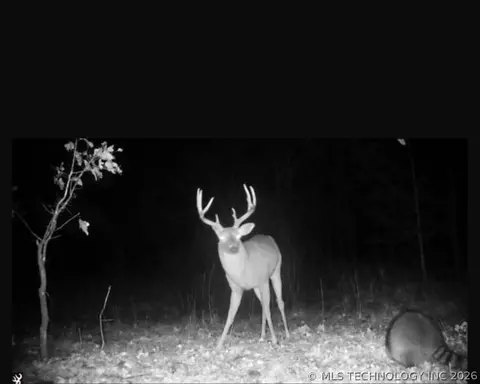 Fig Road, Henryetta, OK 74437 photo 62