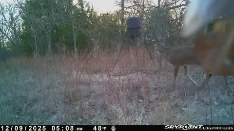 Fig Road, Henryetta, OK 74437 photo 61