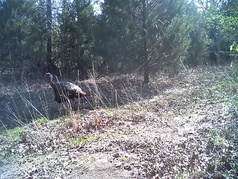Fig Road, Henryetta, OK 74437 photo 60