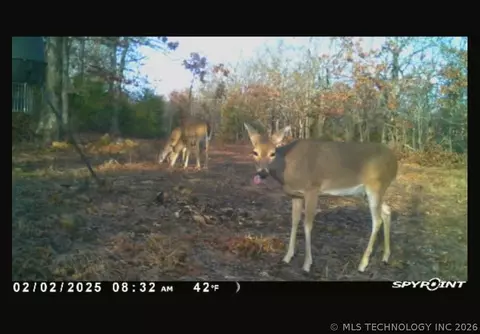 Fig Road, Henryetta, OK 74437 photo 64