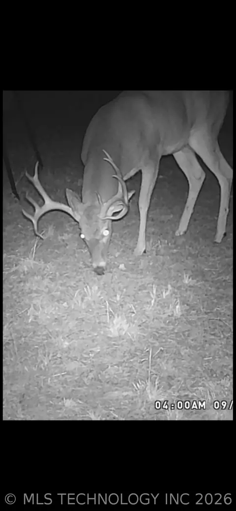 Fig Road, Henryetta, OK 74437 photo 69