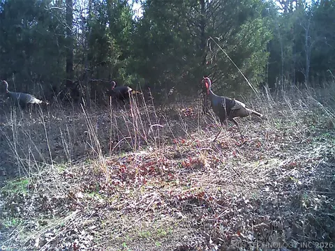 Fig Road, Henryetta, OK 74437 photo 58