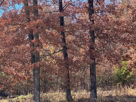 704 Woodlands Dr, Tahlequah, OK 74464