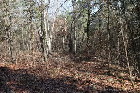 Poteau Mountain, Monroe, OK 74947 photo 44