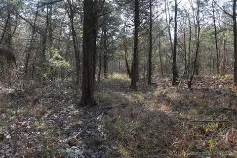Poteau Mountain, Monroe, OK 74947 photo 48