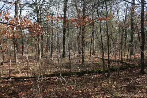 Poteau Mountain, Monroe, OK 74947 photo 12