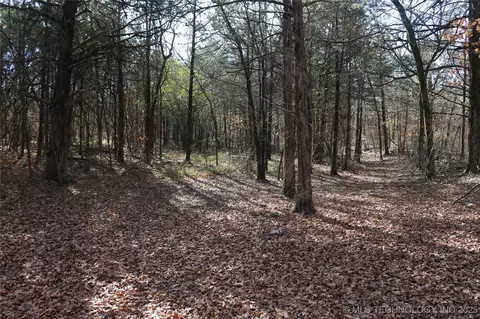 Poteau Mountain, Monroe, OK 74947 photo 30