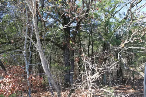 Poteau Mountain, Monroe, OK 74947 photo 59