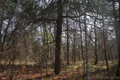 Poteau Mountain, Monroe, OK 74947 photo 9