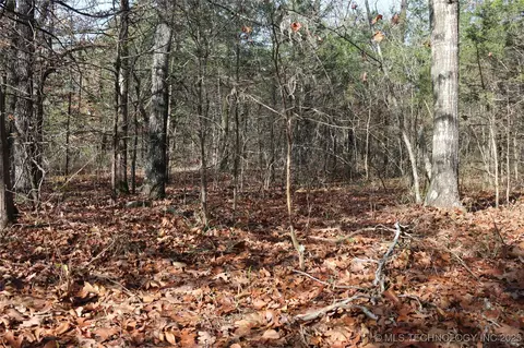 Poteau Mountain, Monroe, OK 74947 photo 21