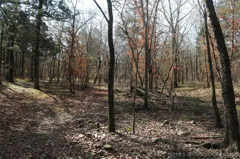 Poteau Mountain, Monroe, OK 74947 photo 28