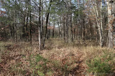 Poteau Mountain, Monroe, OK 74947 photo 33