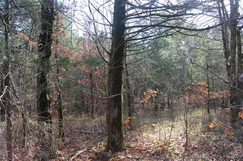 Poteau Mountain, Monroe, OK 74947 photo 22