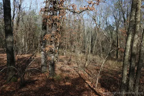 Poteau Mountain, Monroe, OK 74947 photo 40