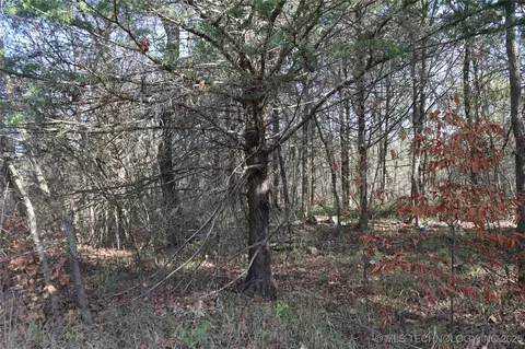 Poteau Mountain, Monroe, OK 74947 photo 8