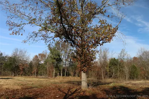 Poteau Mountain, Monroe, OK 74947 photo 5