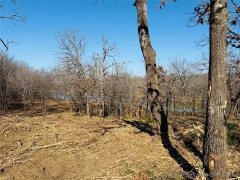 0 Falcon Ln, Eufaula, OK 74432 photo 9