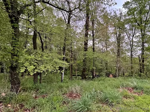 1229 Pheasant Run Rd, Kansas, OK 74347