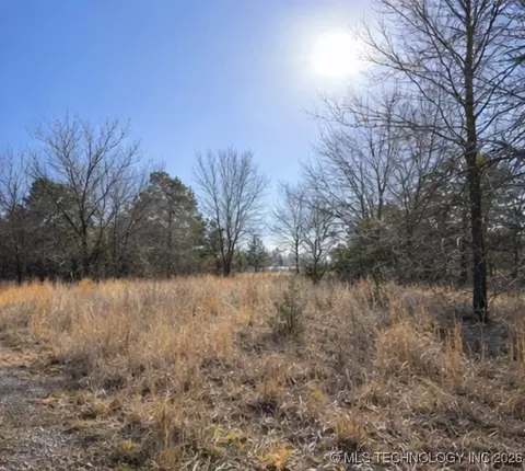 Texanna, Eufaula, OK 74432 photo 6