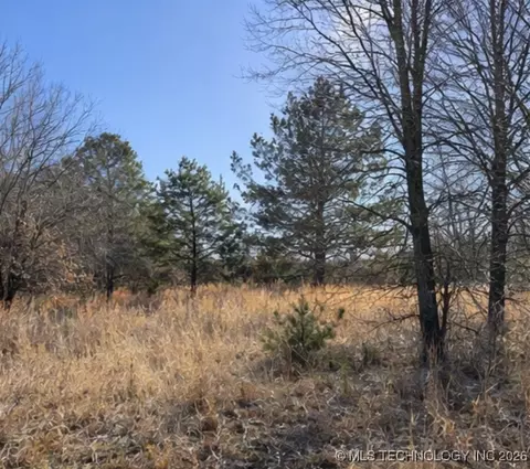 Texanna, Eufaula, OK 74432 photo 7