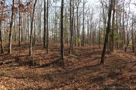 Marsh Loop Loop, Smithville, OK 74957 photo 16