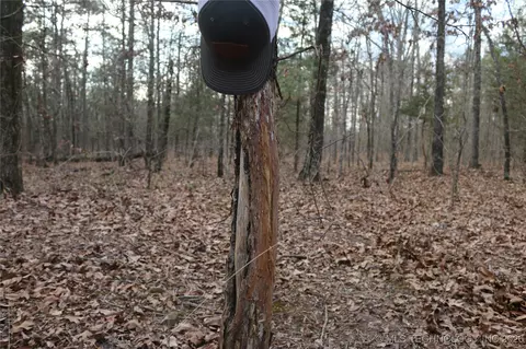 Marsh Loop Loop, Smithville, OK 74957 photo 61
