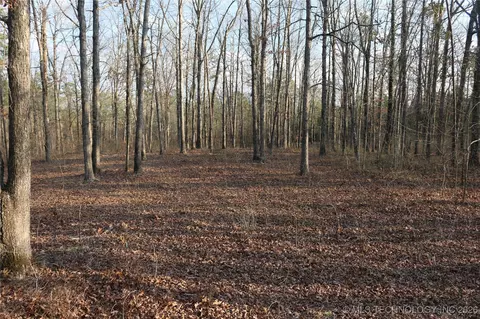 Marsh Loop Loop, Smithville, OK 74957 photo 51