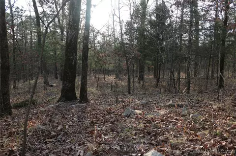 Marsh Loop Loop, Smithville, OK 74957 photo 60
