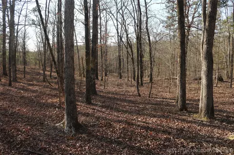 Marsh Loop Loop, Smithville, OK 74957 photo 20