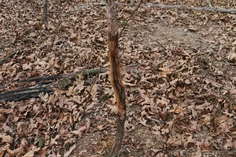 Marsh Loop Loop, Smithville, OK 74957 photo 62