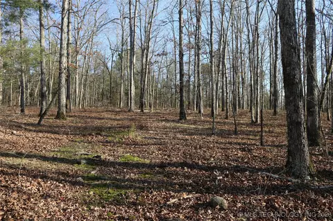 Marsh Loop Loop, Smithville, OK 74957 photo 19