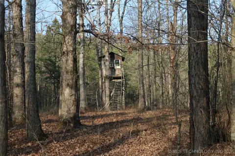 Marsh Loop Loop, Smithville, OK 74957 photo 54