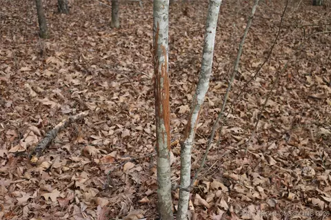 Marsh Loop Loop, Smithville, OK 74957 photo 64