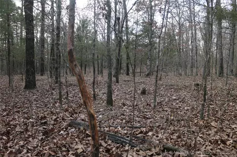 Marsh Loop Loop, Smithville, OK 74957 photo 63