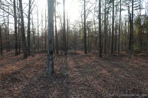 Marsh Loop Loop, Smithville, OK 74957 photo 52