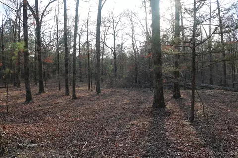Marsh Loop Loop, Smithville, OK 74957 photo 53